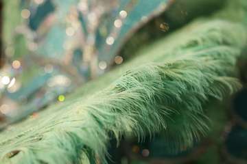 Daniela Medina, Reina del Carnaval de La Tierra/Lpcarnaval.